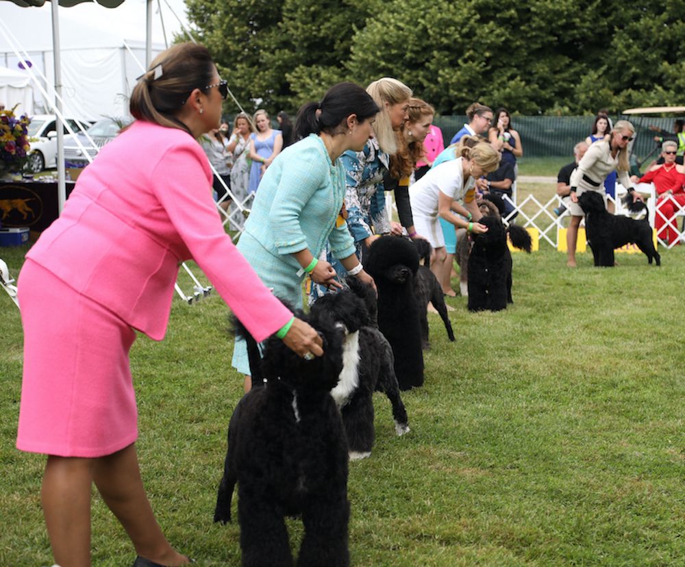 Big Show, Little Minds